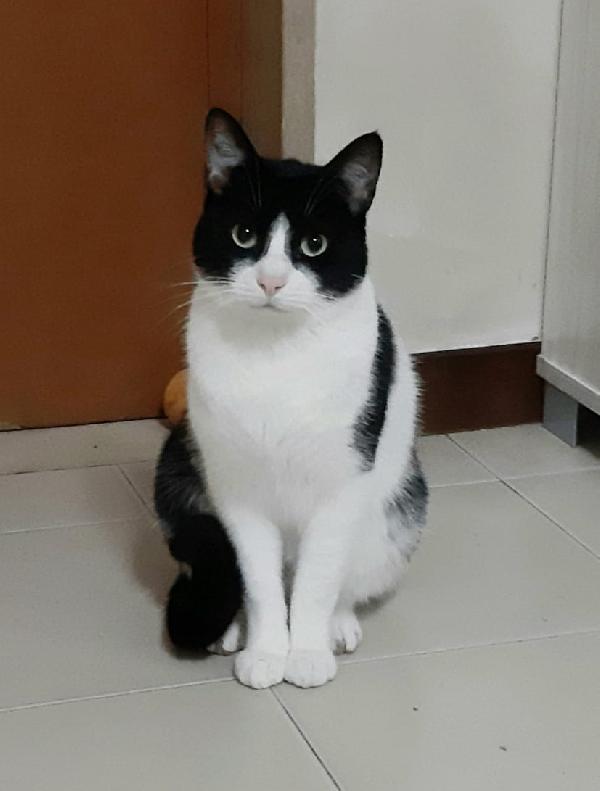 Zipper amabile giocherellone Foto 7